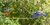 Windspiel | Gartenpendel ❤❤ verliebte blaue Vögelchen beim Liebestanz ❤❤