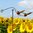 Windspiel Garten-Pendel Garten-Dekoration ❤ verliebte bunte Vögel ❤ mit Glaskugel