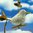 Windspiel maritim Gartendeko Mobile ❤ Flatter-Möwe ❤ Flatter-Vogel ❤ mit Federn