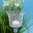 Glasaufsatz für Kerzenleuchter - Windlichtaufsatz - Teelichtaufsatz - CRAQUELÉ MITTEL 2