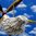 MIT ERSATZFEDERN ❤ Windspiel Mobile ❤ Flatter-Möwen ❤ Flatter-Vögel ❤ mit Treibholz
