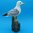 WohnDekoration Gartendekoration maritim ❤ Möwe ❤ Vogel ❤ auf Poller - traumhafte Deko