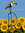 Windspiel Vogelwippe Gartenpendel Gartenwippe ❤ Mr. Tukan ❤ Vogel Vögel