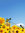 Windspiel Gartenpendel Gartenstecker Gartendekoration - gelbe Bienen