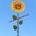 Gartendekoration Gartenstecker Gartenkunst aus Metall ❤ Sonnenblume ❤ Sonnenrose