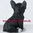 Dekorationsfigur ❤ Französische BullDogge Dogge BULLI SCHWARZ  ❤ Hunde Tierfigur Sammlerfigur